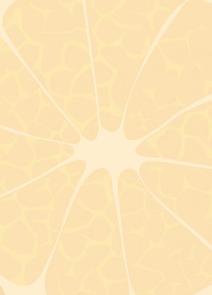 Блокнот 4Profi "Frutti note", orange 40 листов формат В6 902651 000003074 фото