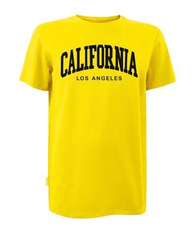Футболка муж. классика кулир желтая с принтом CALIFORNIA Los Angeles (шовкография) раз. 2XL 000043139 фото