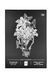 Блокнот-скетчбук TM 4Profi "Dreams sketchbook" two А5 чорний 000025174 фото 1