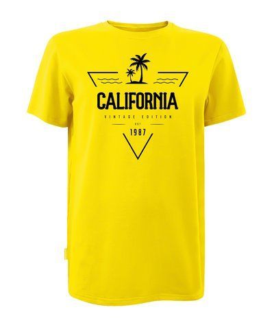 Футболка муж. классика кулир желтая с принтом CALIFORNIA 1987 (шелкография) раз. XL 000043153 фото