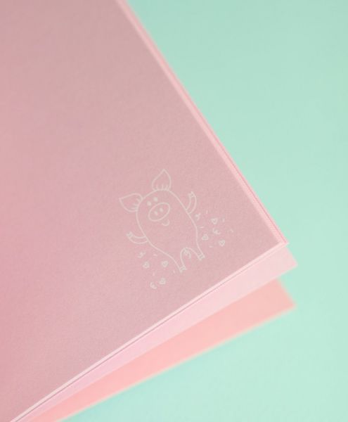 Блокнот 4Profi Artbook "Spoony" pig 40 листов формат B6 902798 000003091 фото