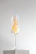 Желейка Hot Jelly Pop MINI &laquo;Шампанское&raquo; 100 г Jelly Bar 000056630 фото 2